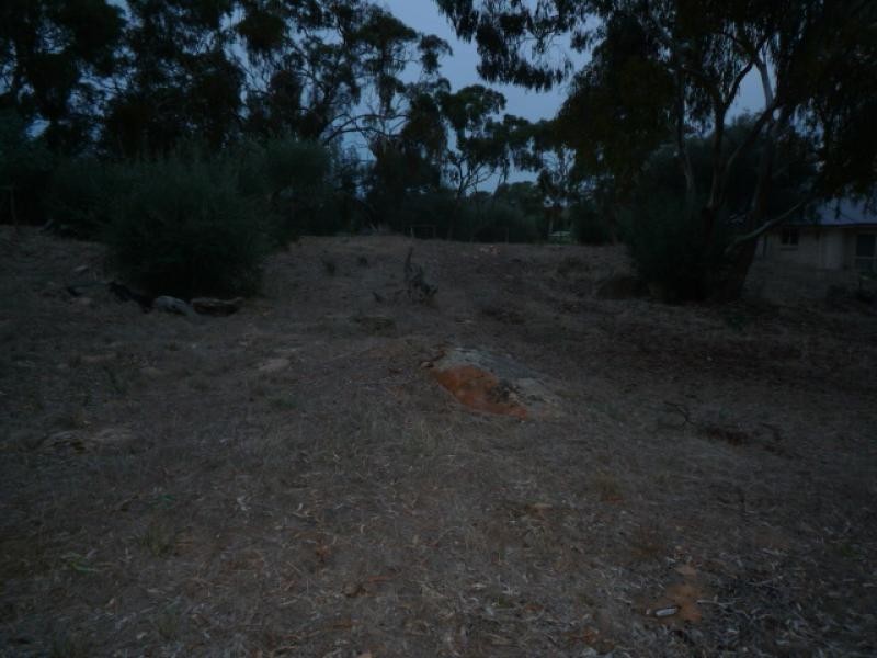 Lot 61&62 Adelaide North Road WATERVALE 5452, Watervale SA 5452