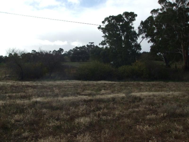 Lot 7 Bright Street MINTARO 5415, Mintaro SA 5415