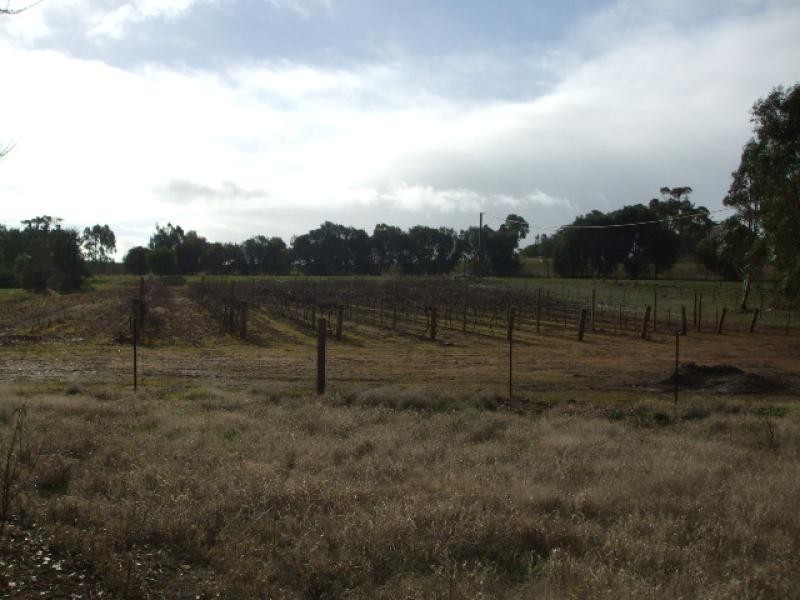 Lot 7 Bright Street MINTARO 5415, Mintaro SA 5415