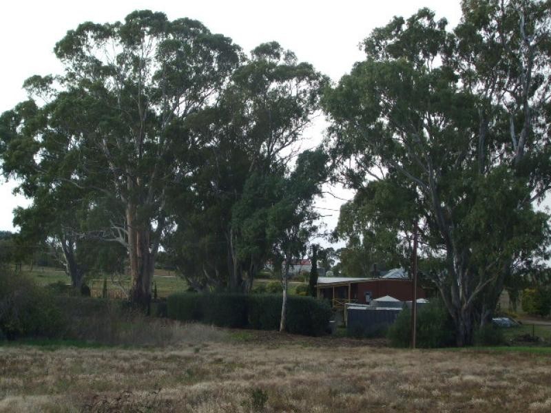 Lot 7 Bright Street MINTARO 5415, Mintaro SA 5415