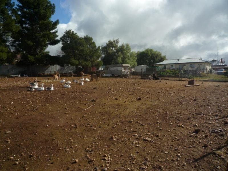 Lot 68 Crowan Street BURRA 5417, Burra SA 5417