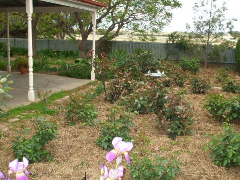 41 Broughton  Road YACKA 5470, Yacka SA 5470