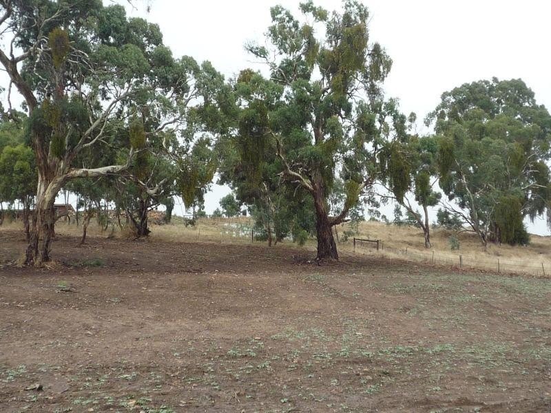 Lot 41 White Hut Road CLARE 5453, Clare SA 5453