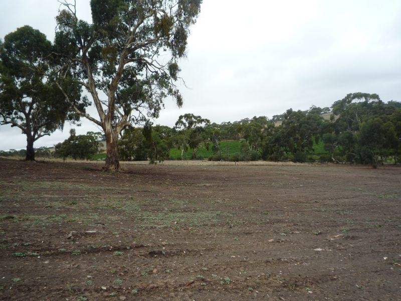 Lot 41 White Hut Road CLARE 5453, Clare SA 5453