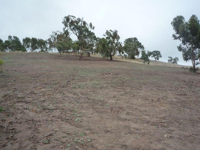 Lot 41 White Hut Road CLARE 5453, Clare SA 5453