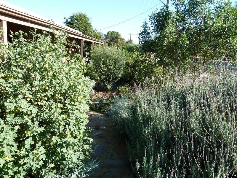 8 Ayers Street BURRA 5417, Burra SA 5417