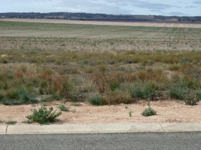 Benbournie Estate  BLYTH 5462, Blyth SA 5462