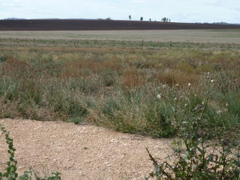 Benbournie Estate  BLYTH 5462, Blyth SA 5462