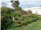 20 Moore Street BLYTH 5462, Blyth SA 5462