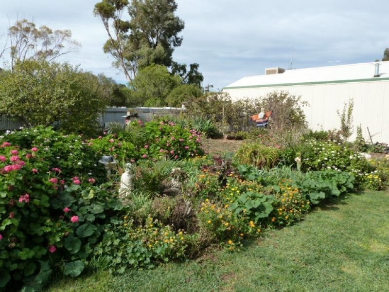 20 Moore Street BLYTH 5462, Blyth SA 5462