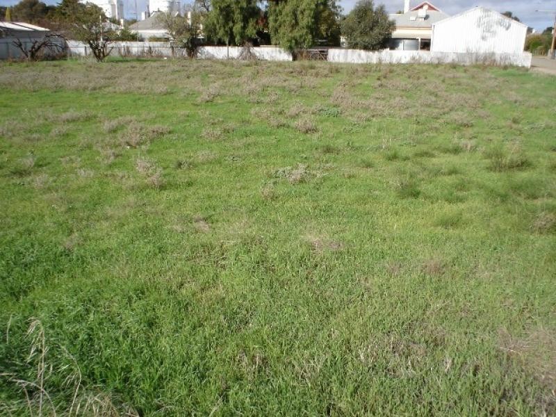 20 Wolfe Street JAMESTOWN 5491, Jamestown SA 5491