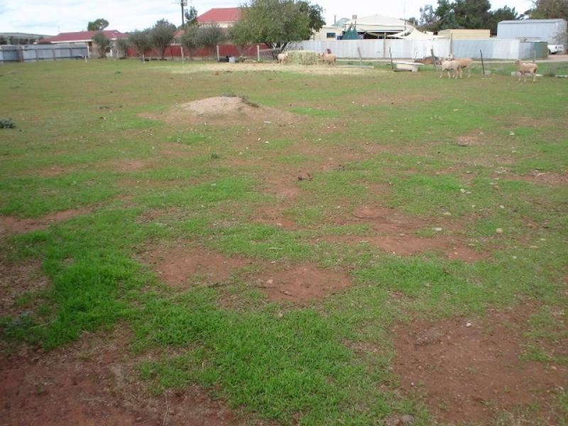 40 Cronin Street JAMESTOWN 5491, Jamestown SA 5491