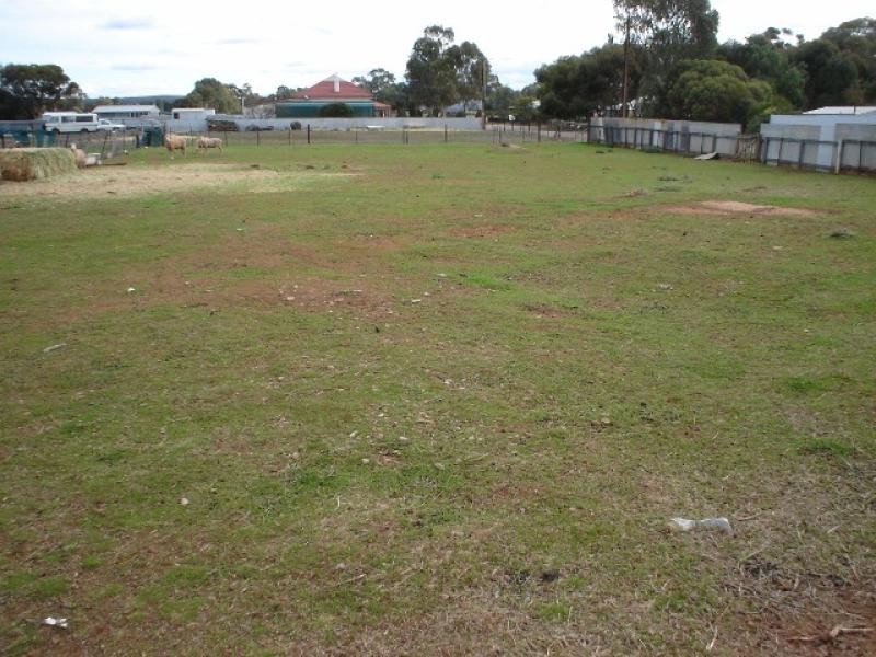 40 Cronin Street JAMESTOWN 5491, Jamestown SA 5491