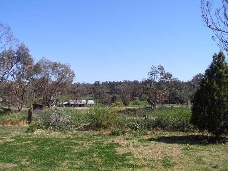 91 Main Street CUDAL 2864, Cudal NSW 2864