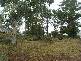 9 Roskell Road CALLALA BEACH 2540, Callala Beach NSW 2540