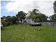 183 Kinghorne  Street NOWRA 2541, Nowra NSW 2541