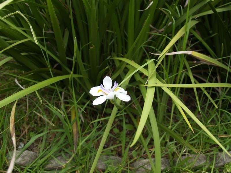 6 Huon Street CALLALA BAY 2540, Callala Bay NSW 2540