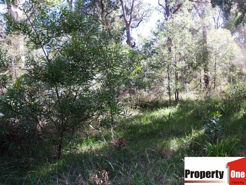 8 Chisholm Street, Callala Bay NSW 2540