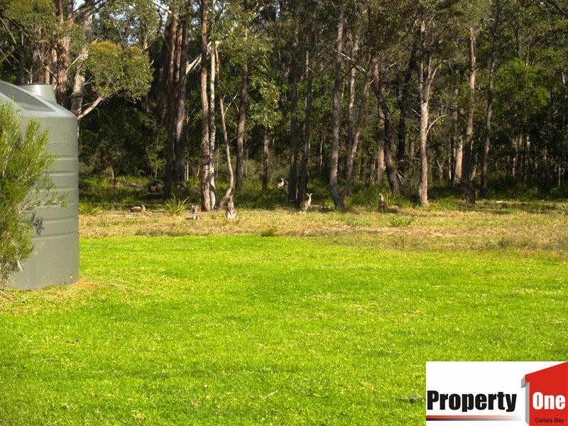 Lot 72 Callala Beach Road, Callala Beach NSW 2540