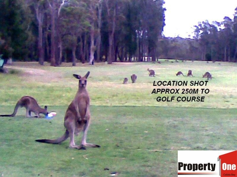 44 Callala Beach  Road, Callala Beach NSW 2540