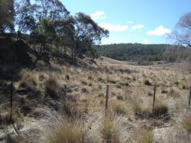 Lot 5 Countegany Road NUMERALLA 2630, Numeralla NSW 2630