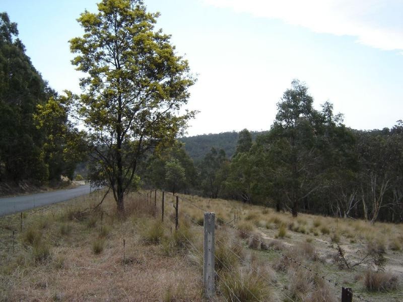 Lot 5 Countegany Road NUMERALLA 2630, Numeralla NSW 2630