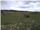 Lot 9 Birchmans Estate WAMBOIN 2620, Wamboin NSW 2620