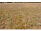 Lot 2 Yallakool Road, Cooma NSW 2630