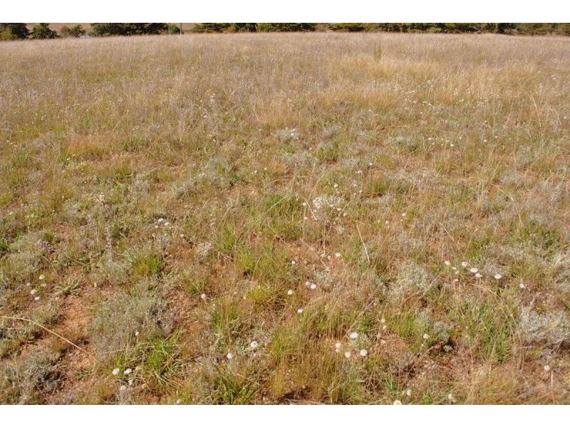 Lot 2 Yallakool Road, Cooma NSW 2630