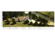 161 Majors Creek Road BRAIDWOOD 2622, Braidwood NSW 2622