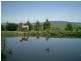 180 Majors Creek Road BRAIDWOOD 2622, Braidwood NSW 2622