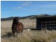 23 Roseview  Road TARAGO 2580, Tarago NSW 2580