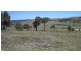 Lot 5 Birchmans Estate, Wamboin NSW 2620