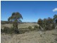 Lot 12 Birchmans Estate, Wamboin NSW 2620