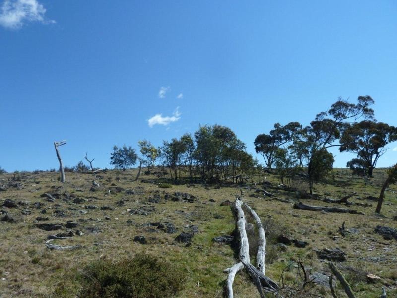 Lot 12 Birchmans Estate, Wamboin NSW 2620