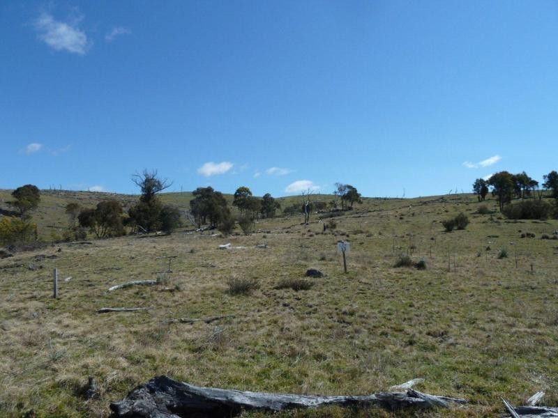 Lot 13 Birchmans Estate, Wamboin NSW 2620