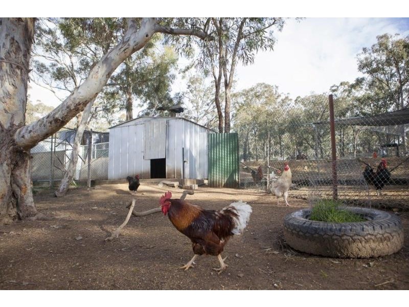 142 Macs Reef Road, Bywong NSW 2621