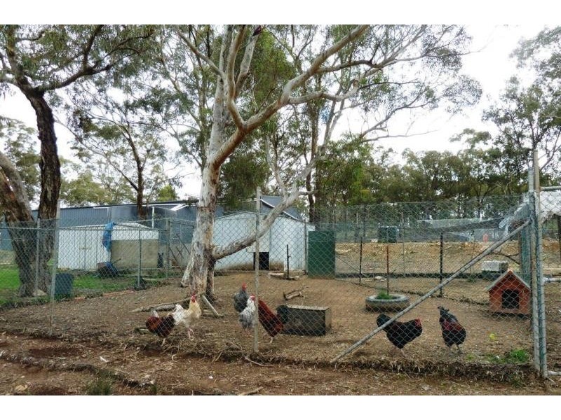 142 Macs Reef Road, Bywong NSW 2621