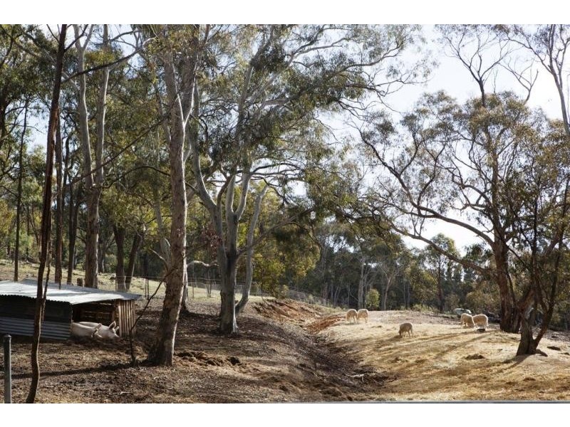 142 Macs Reef Road, Bywong NSW 2621