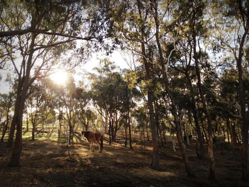 142 Macs Reef Road, Bywong NSW 2621