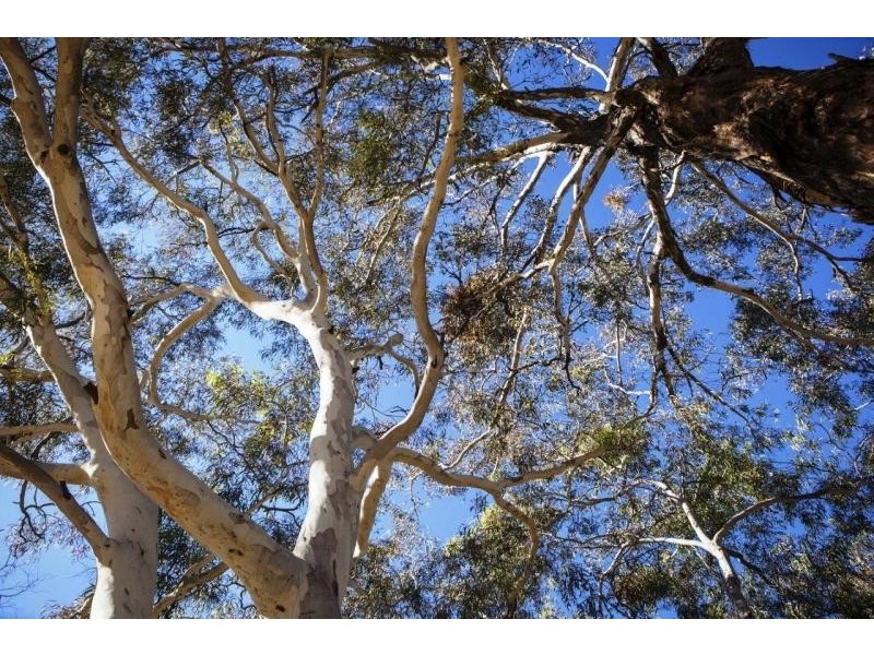 142 Macs Reef Road, Bywong NSW 2621