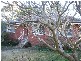 10 Mckechnie Street EPPING 2121, Epping NSW 2121
