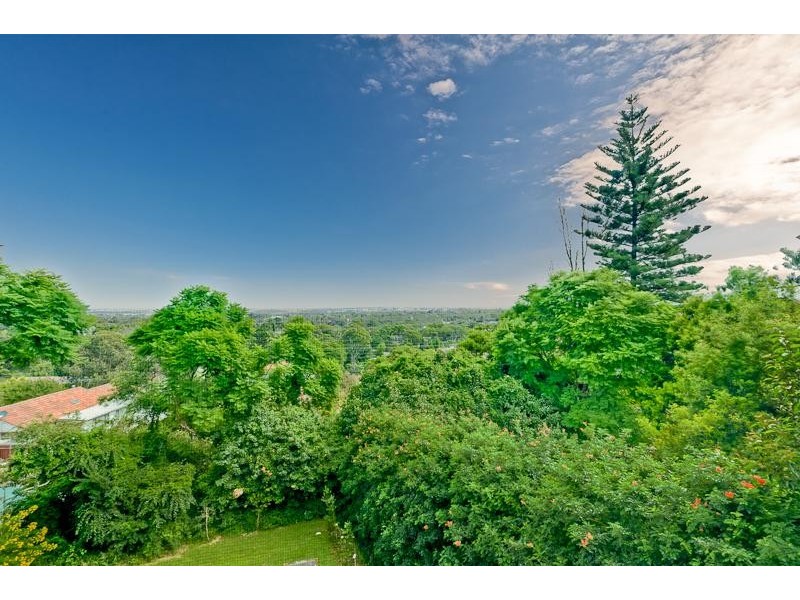 278A Marsden Road CARLINGFORD 2118, Carlingford NSW 2118