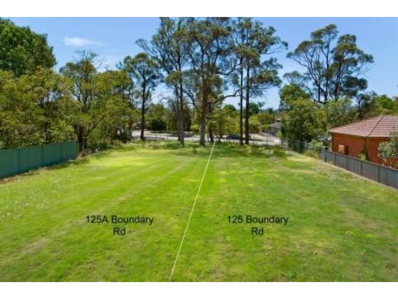 125 Boundary Road NORTH EPPING 2121, North Epping NSW 2121