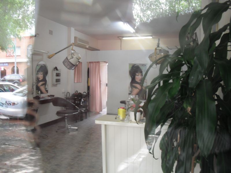 41A Oxford Road, Ingleburn NSW 2565