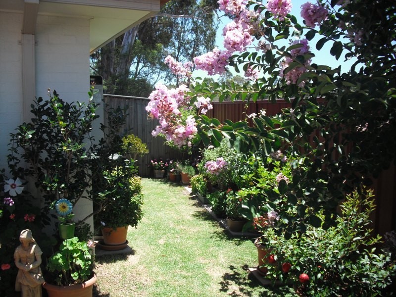 Ingleburn NSW 2565