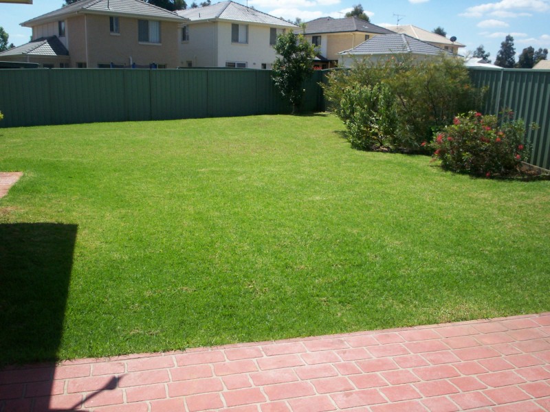 8 Callicoma Street, Mount Annan NSW 2567