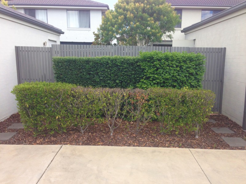 Glenfield NSW 2167
