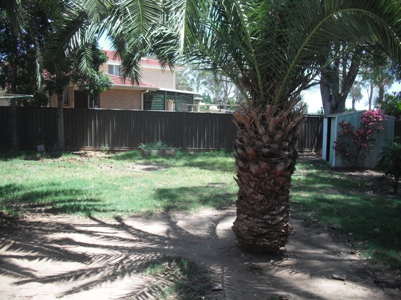 57 Sackville Street, Ingleburn NSW 2565