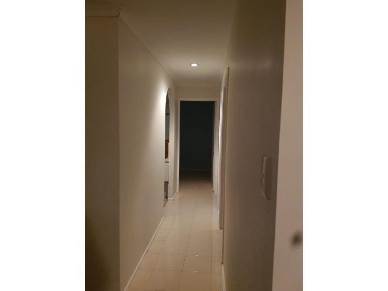 Macquarie Fields NSW 2564